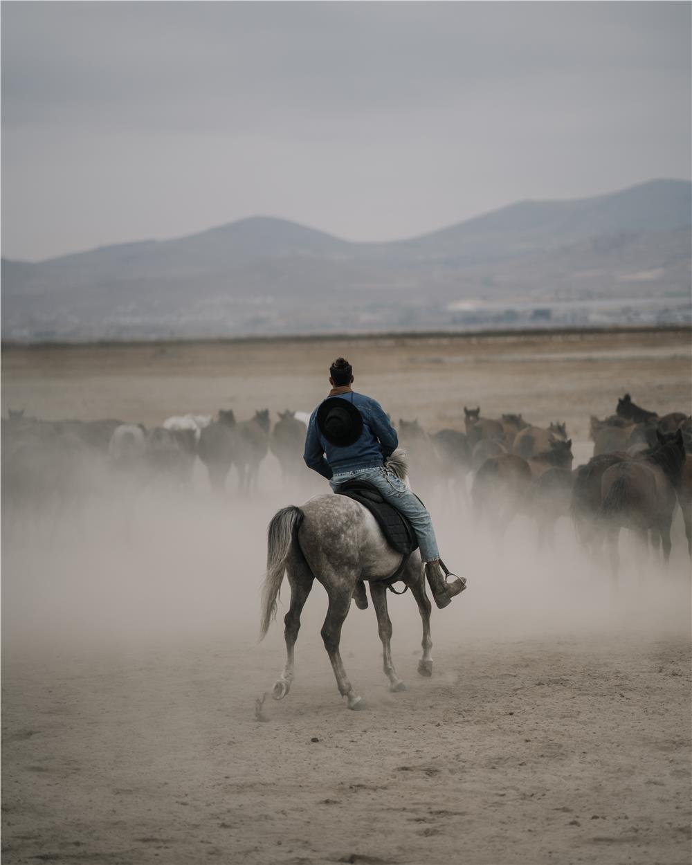 Cappadocia Equine Photography