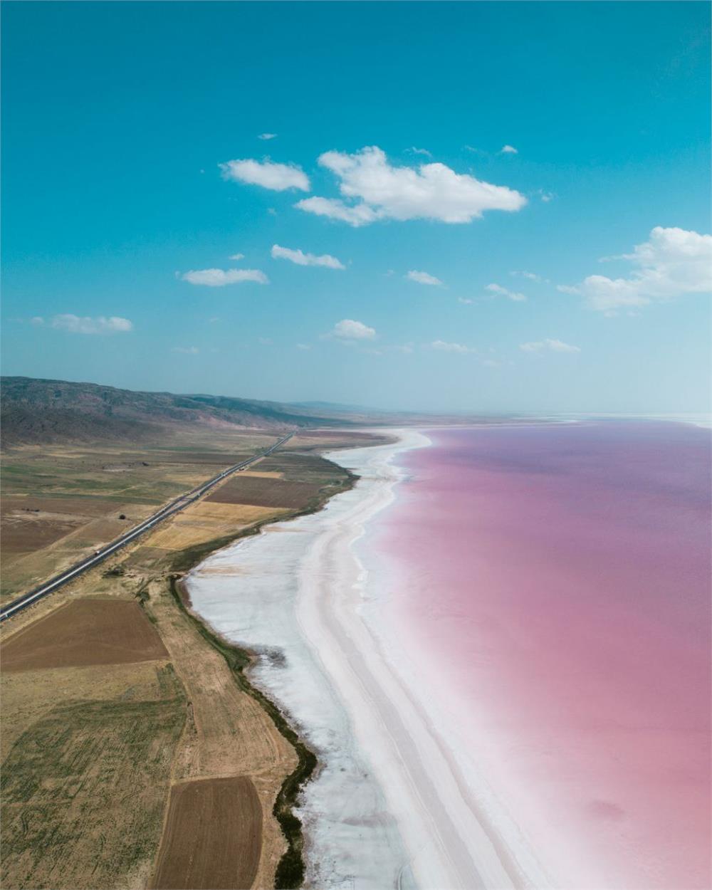 Salt Lake Turkey