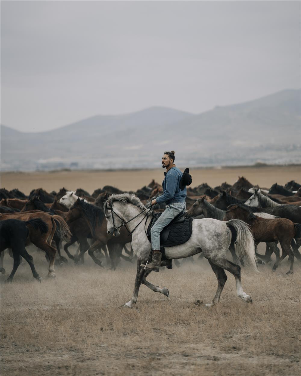 Turkey Kayseri Hurmetci Equine Photography