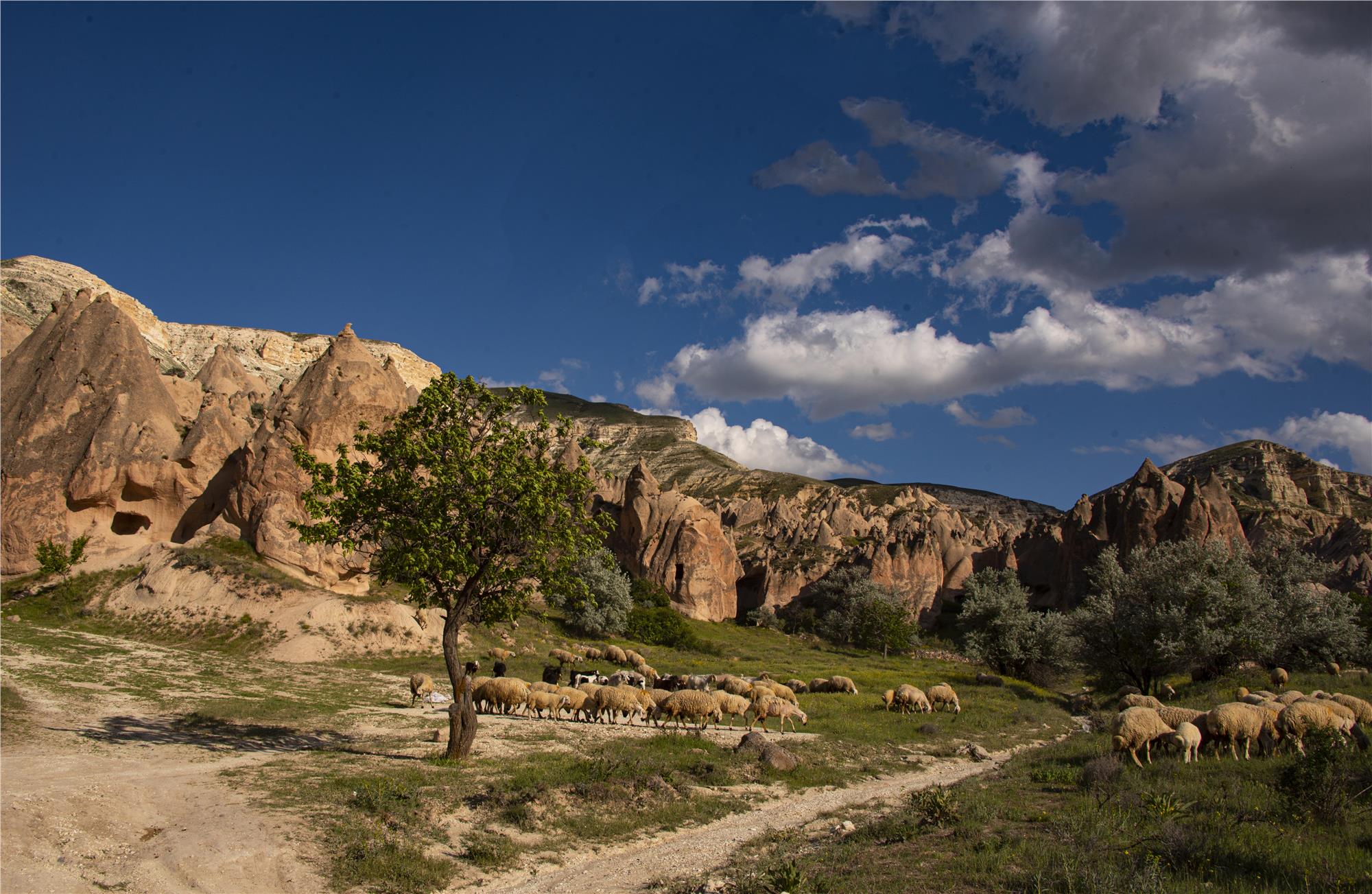 Best Photo Experience in Cappadocia