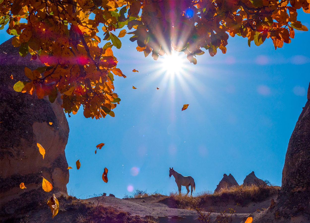 Cappadocia Photo