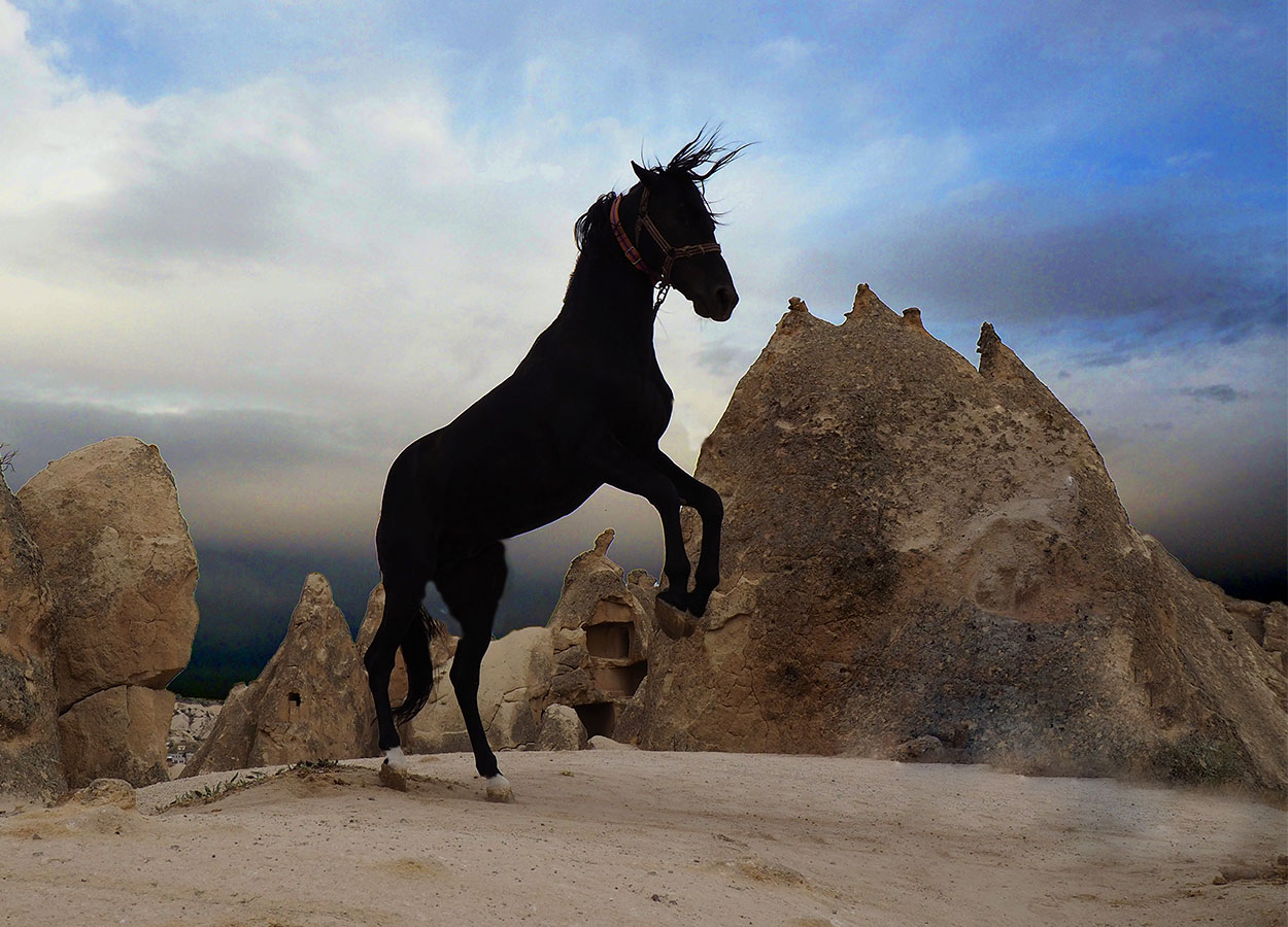 Cappadocia Photography