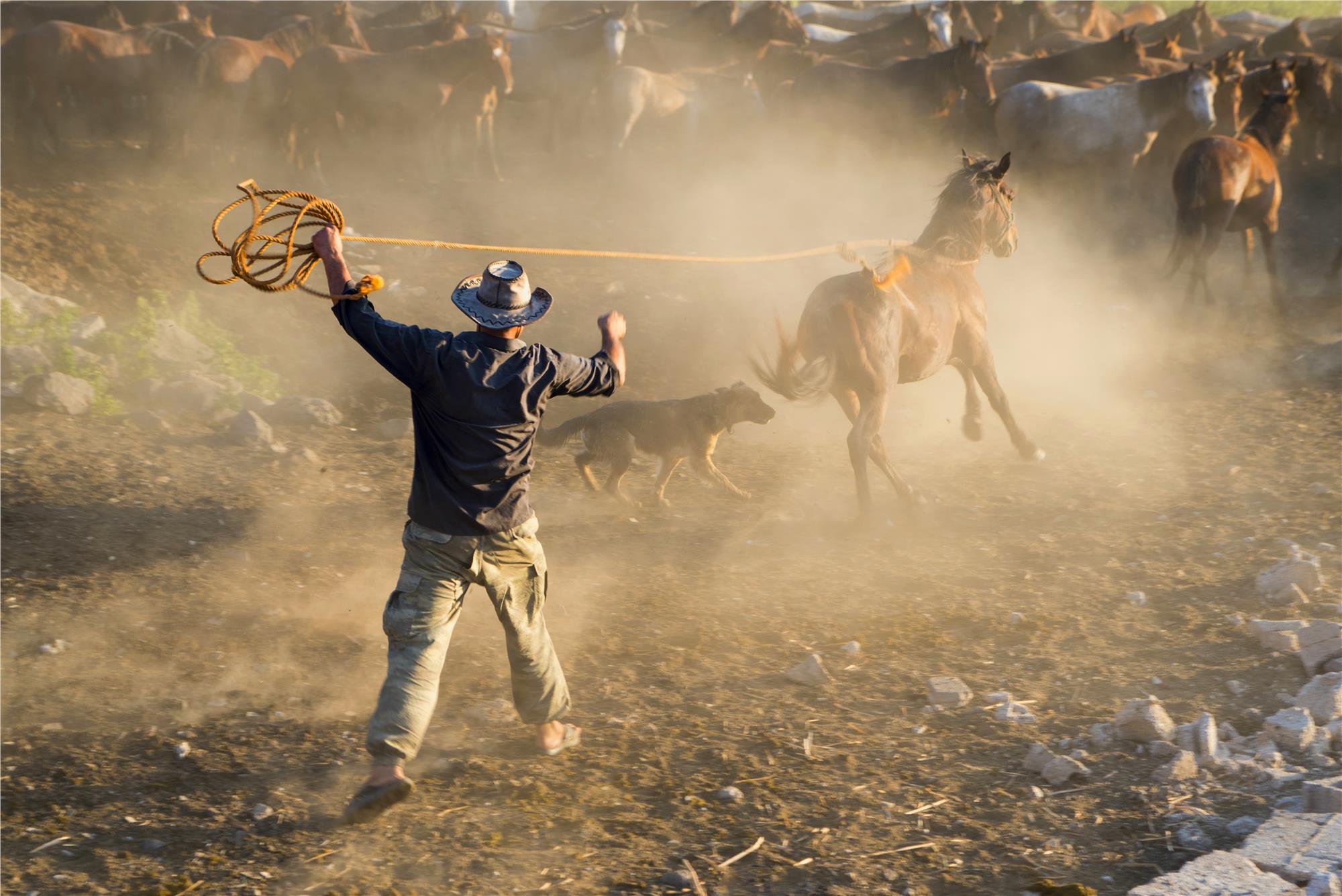 Equine Photography Workshops and Classes