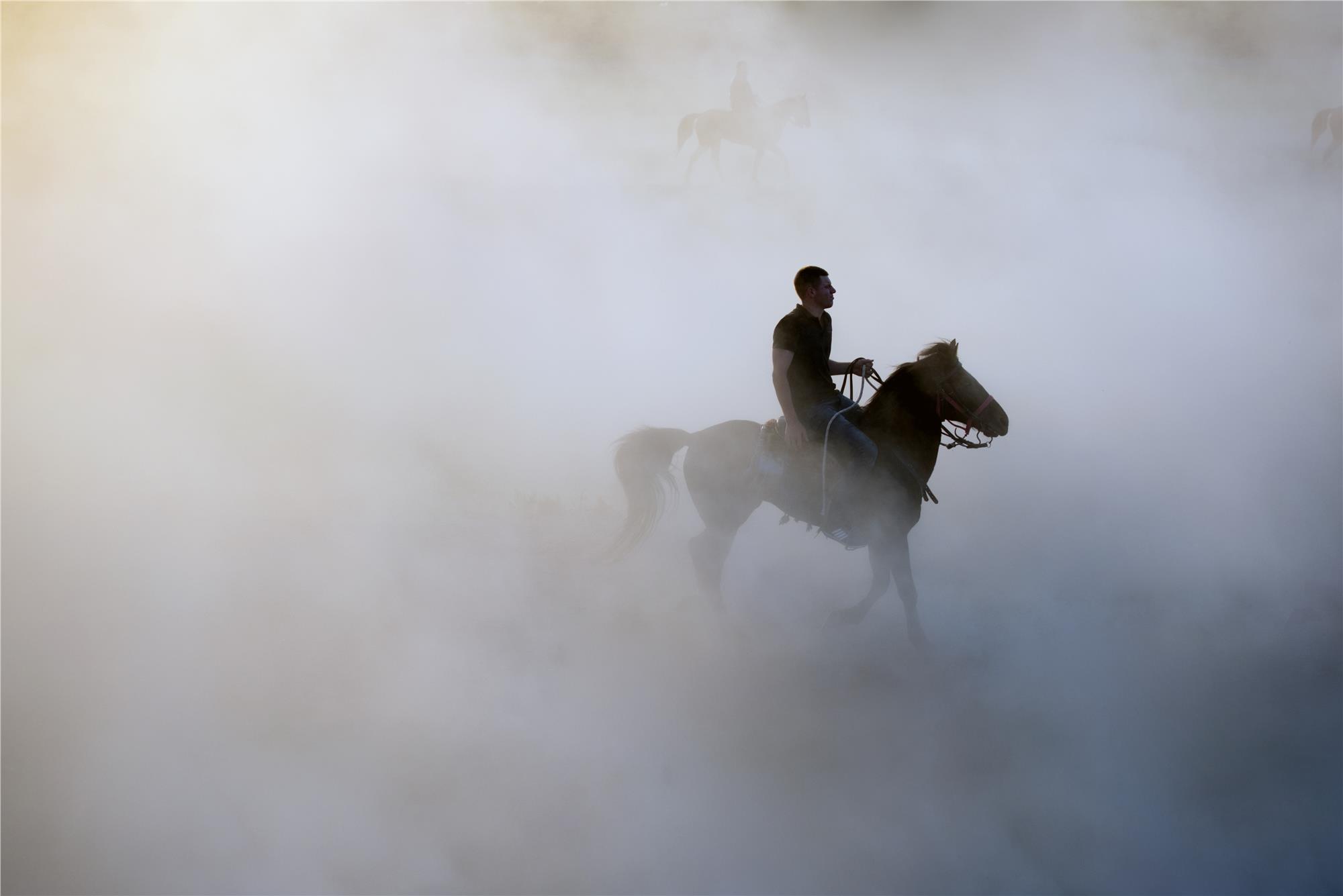 Equine Photography Workshops and Classes