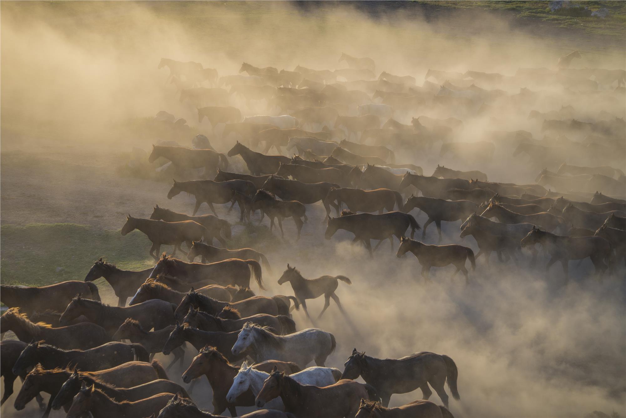 Equine Photography Workshops and Classes