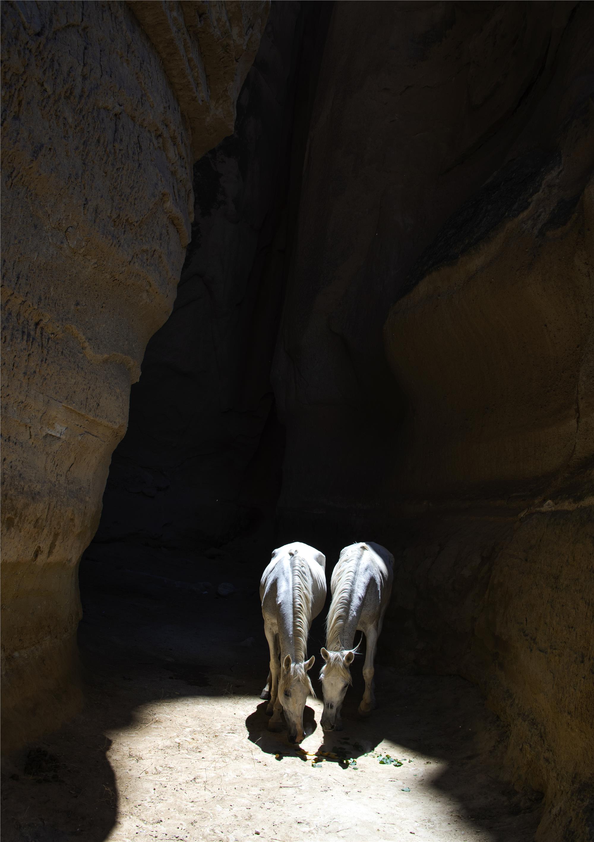 Green Tour Cappadocia