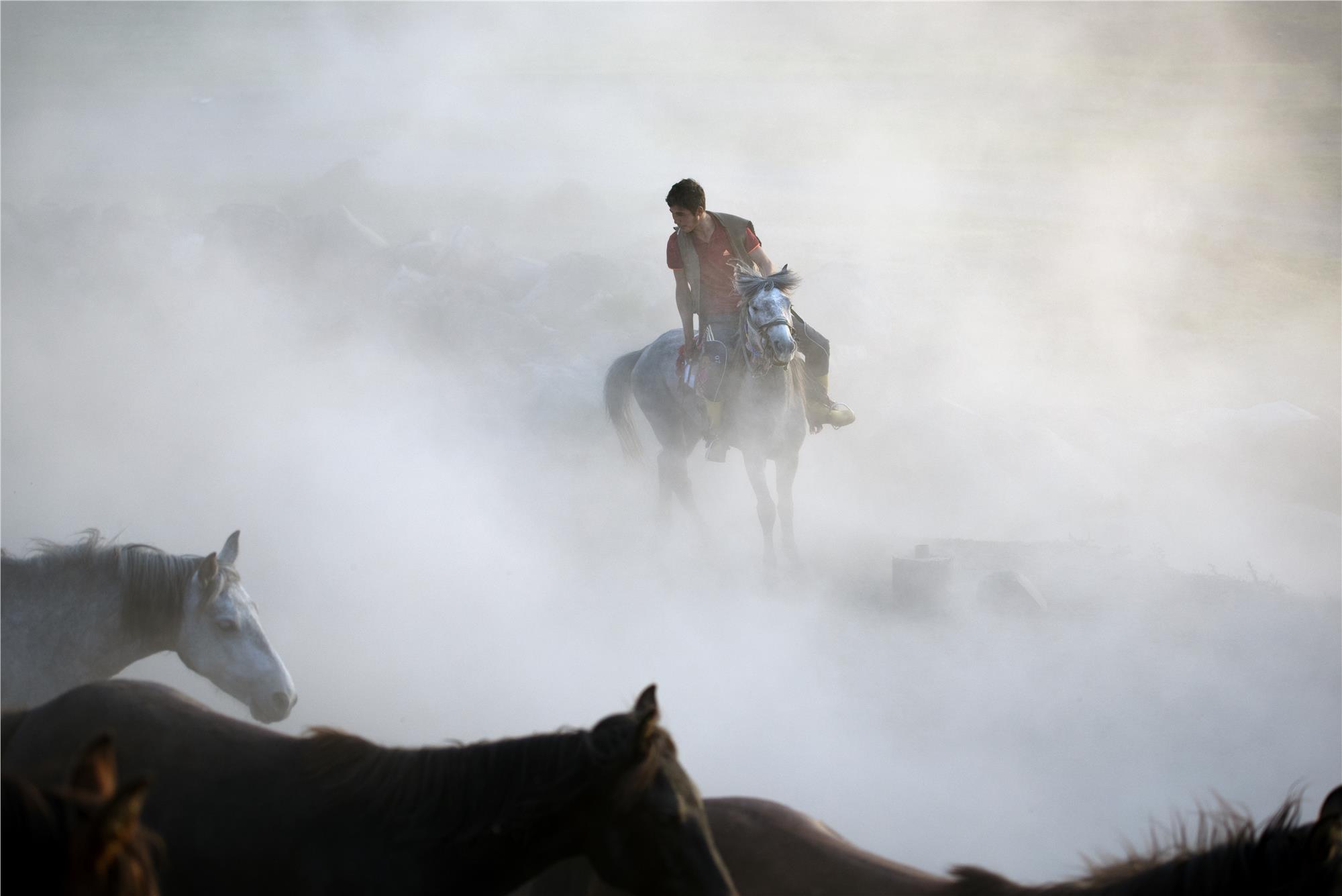 Nuri Çorbacıoğlu: Equine Photographer