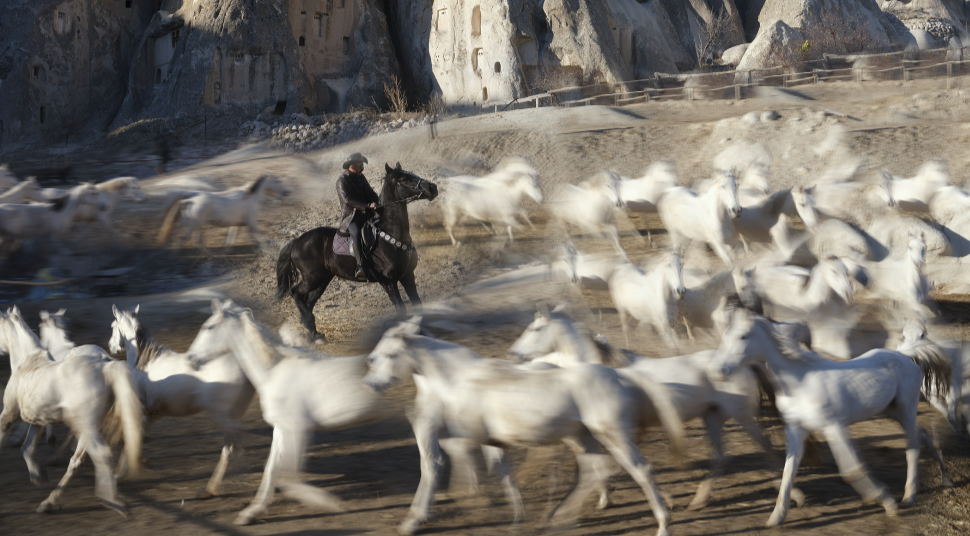 Nuri Çorbacıoğlu in Perspective: Photography and Film Trends: 2024