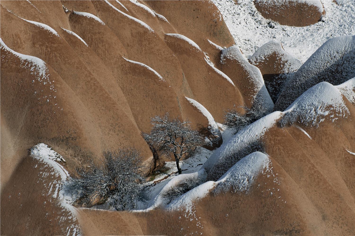 Nuri Çorbacıoğlu in Perspective: Photography and Film Trends: 2024