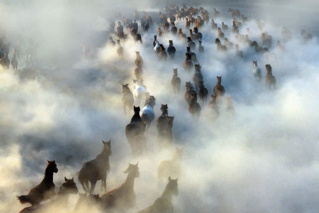 Running and dusting wild horses in Cappadocia.