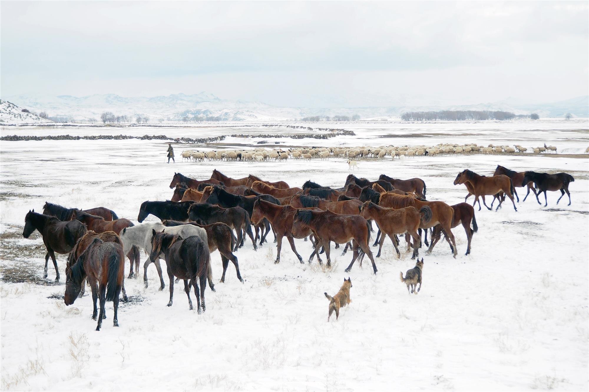 Winter Tourism in Turkey and Winter in Cappadocia