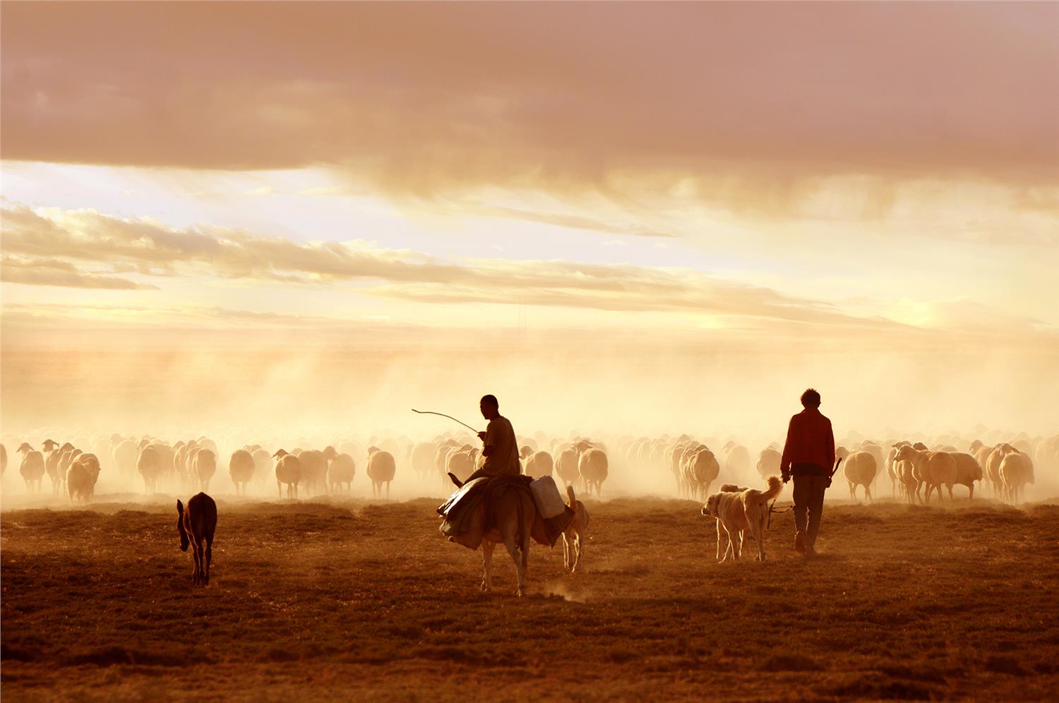Eastern Anatolia Photography Tour
