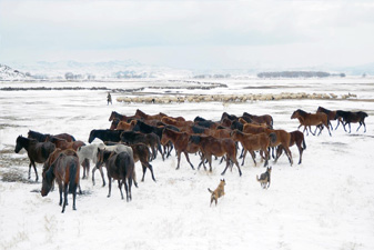 Winter Tourism in Turkey and Winter in Cappadocia